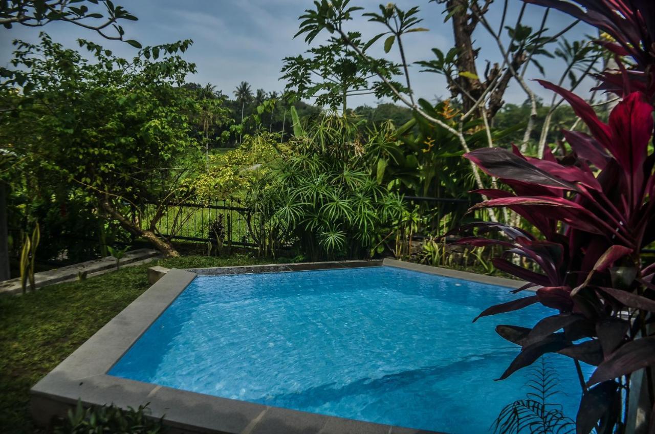 Villa Nextdoor Nature Yogyakarta Bantul Luaran gambar