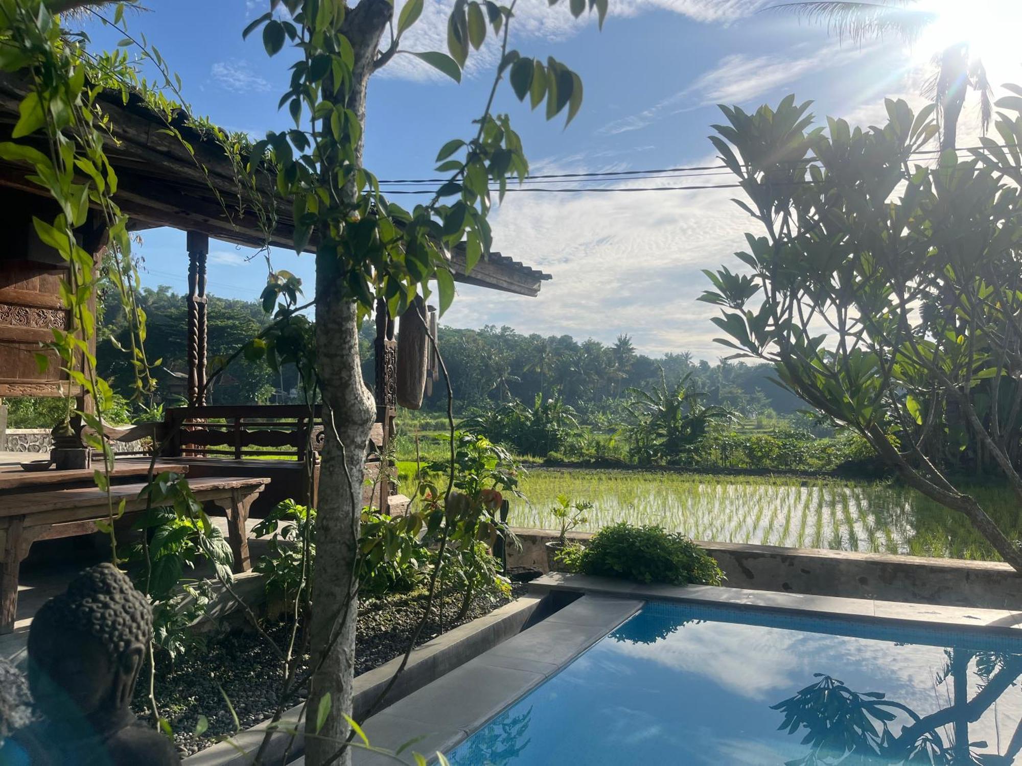 Villa Nextdoor Nature Yogyakarta Bantul Luaran gambar