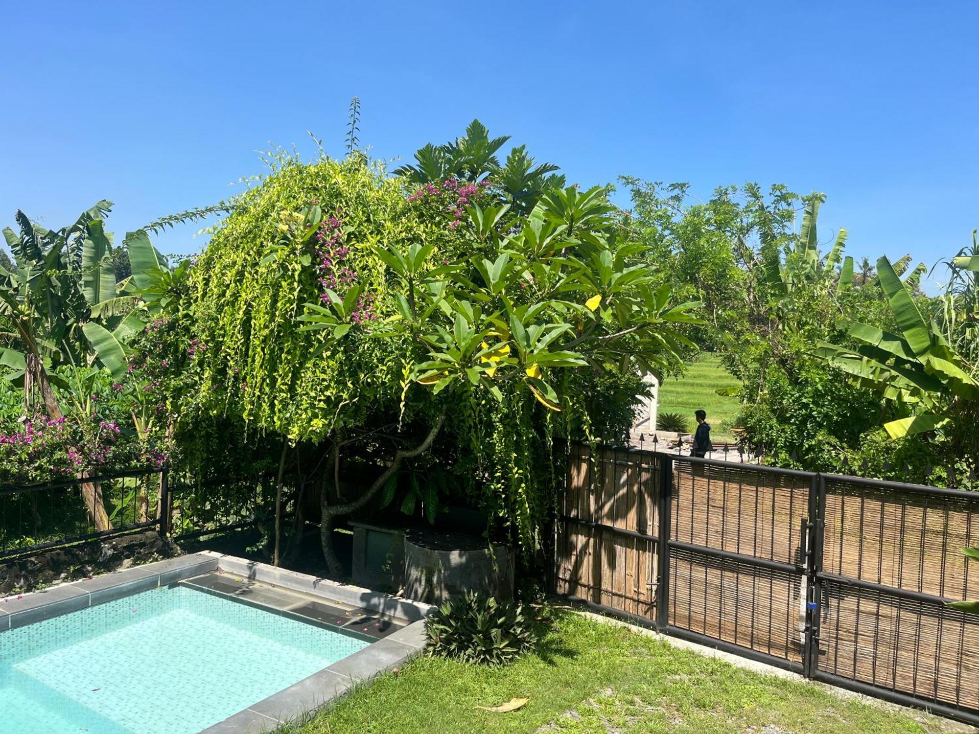 Villa Nextdoor Nature Yogyakarta Bantul Luaran gambar